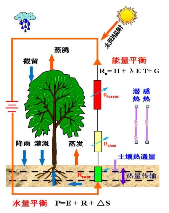 蒸散量测定方法及原理！