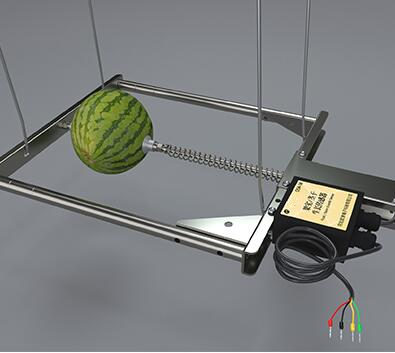 树干生长传感器、西瓜生长传感器