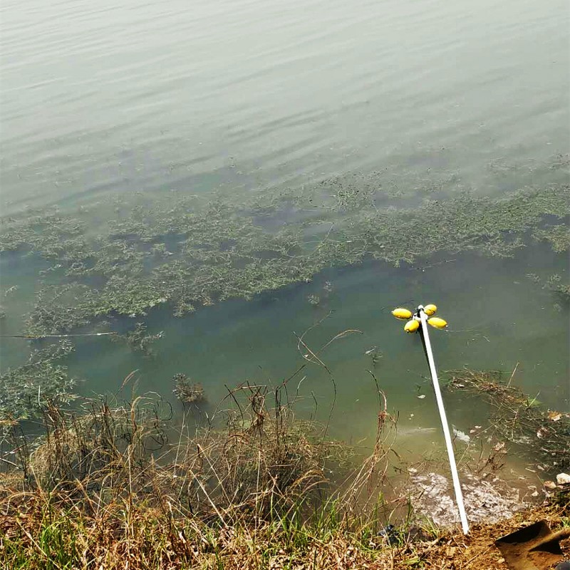 泰安市湿地公园水质监测系统落成！