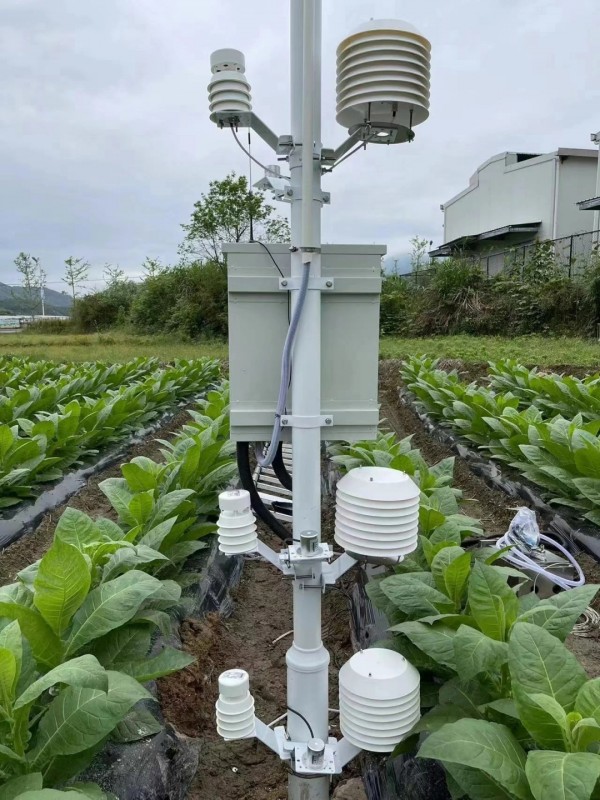 云南烟草种植基地墒情气象监测系统安装落成！